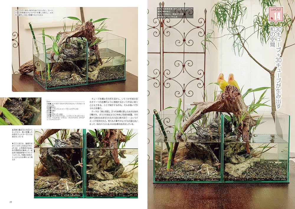 アクアライフ　まとめ売り 月刊アクアライフ 2021年 09 月号 30cmキューブ水槽 |本 | 通販